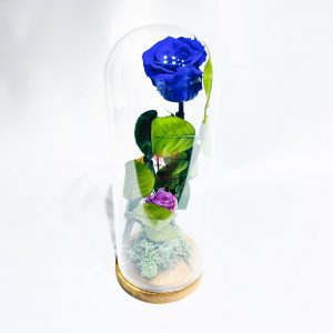 fleur_eternelle_bleu