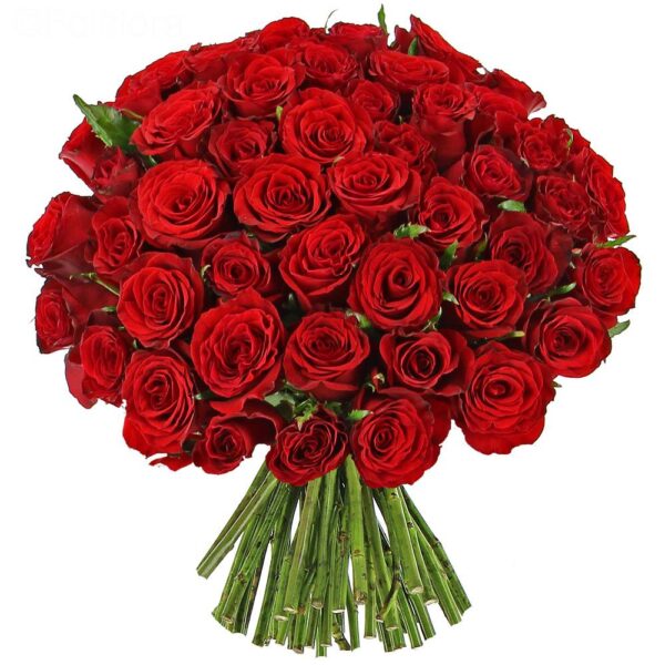 Bouquet 50 Roses Rouge - Fleuriste à Casablanca - Fleuriste Saint Valentin  14th