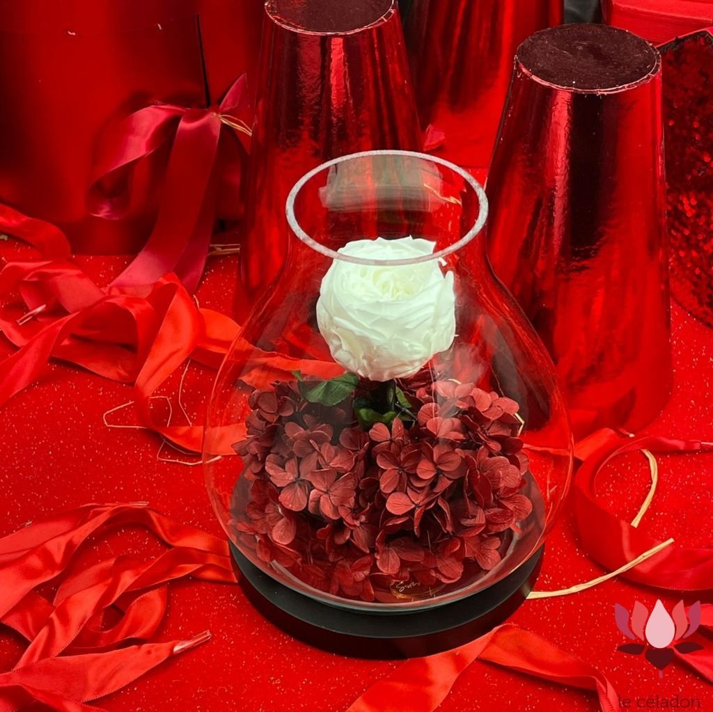 Luxury Eternal Flower White Rose Fleuriste à Casablanca Fleuriste