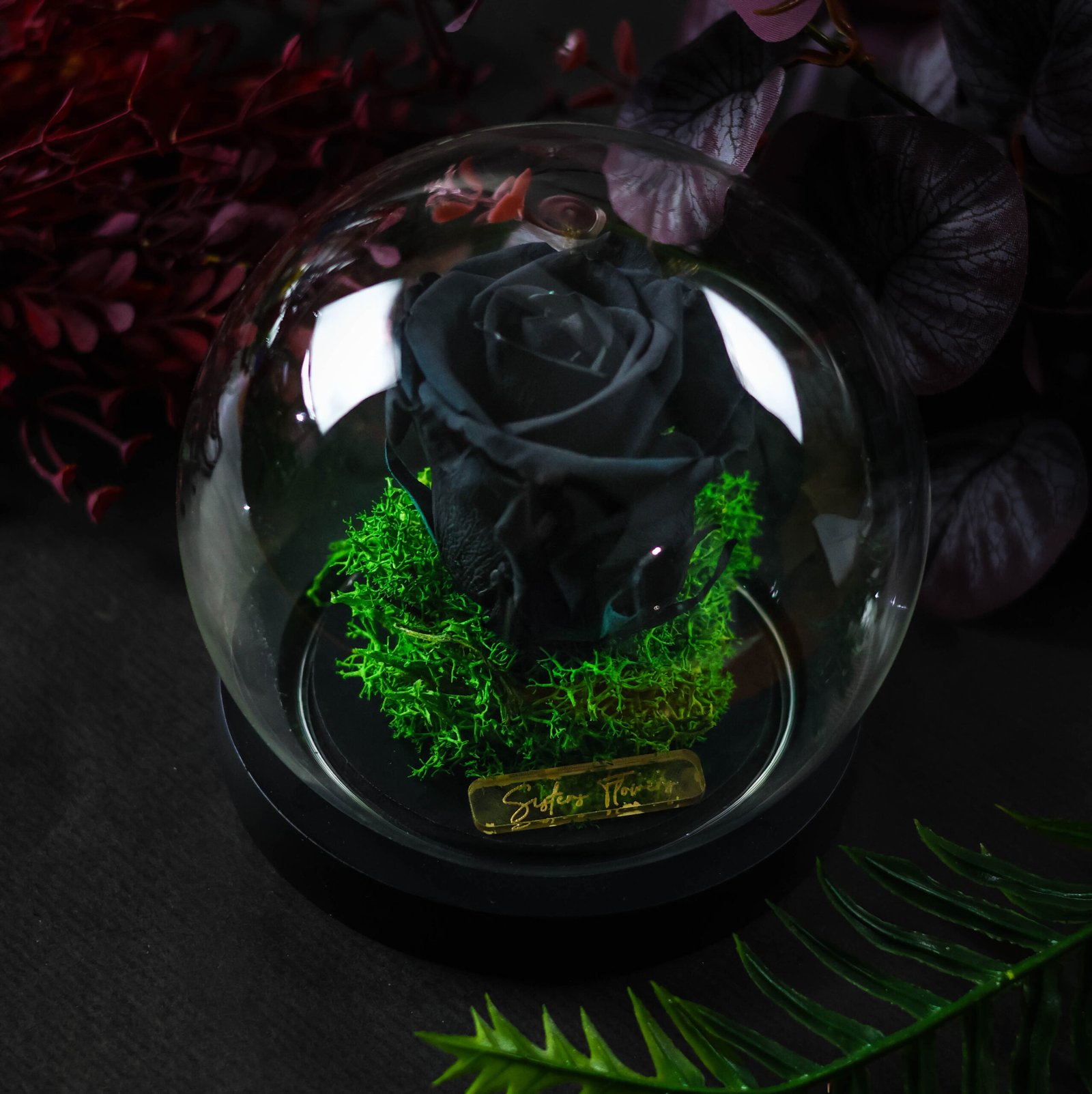 Cloche Dôme Eternelle Noir 31