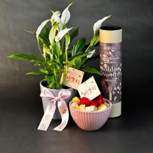 Harmonie Bois et Cacao