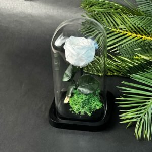 Cloche Éternelle – Rose Garden Blanche 20cm*10cm