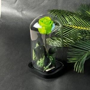 Cloche Éternelle – Rose vert limme 20cm*10cm