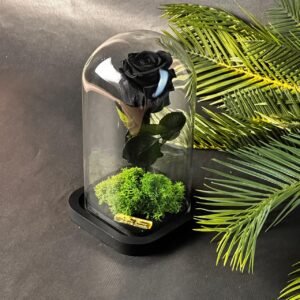 Cloche Éternelle – Rose noire 20cm*10cm