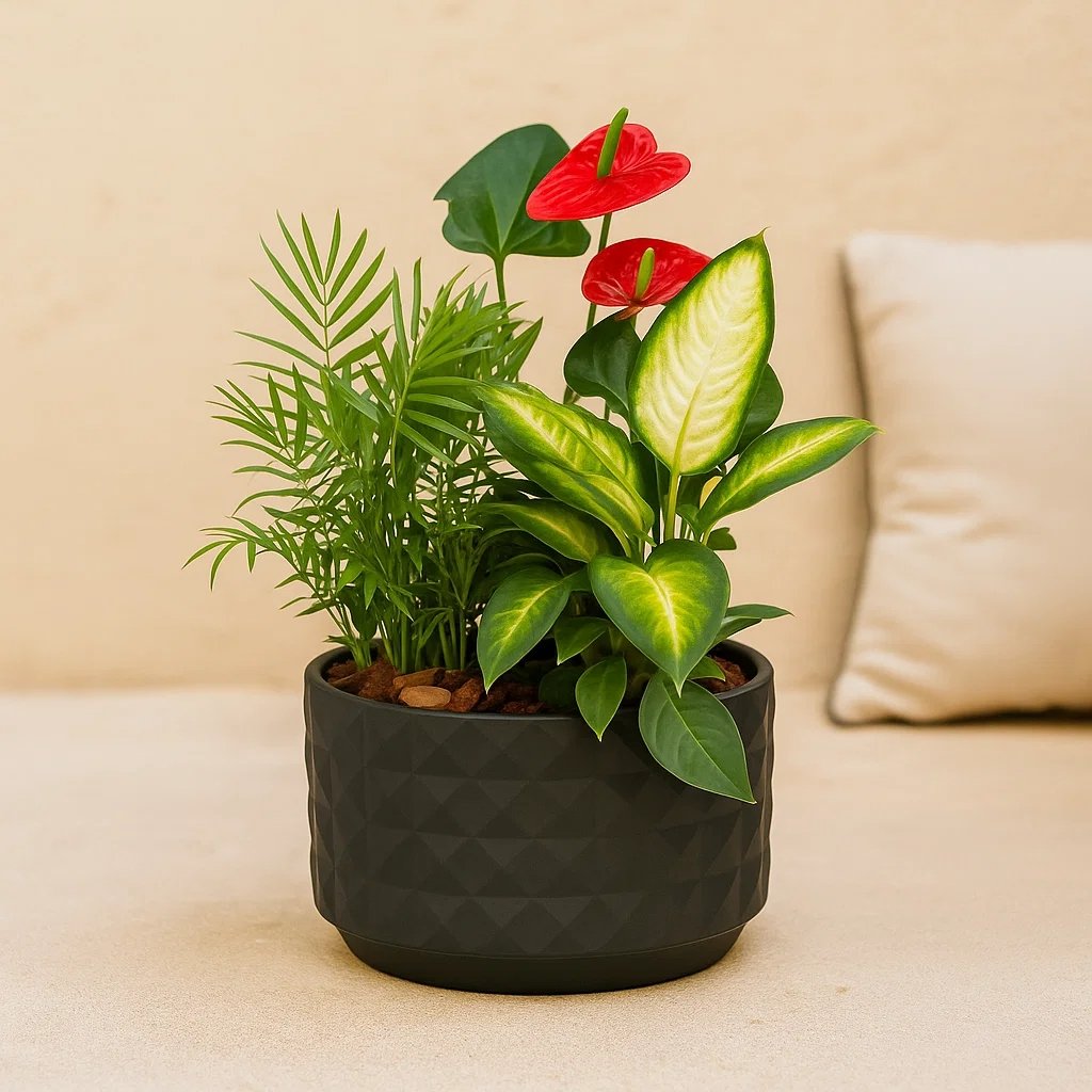 Composition de plantes