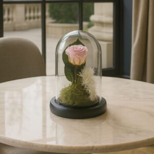 Rose Éternelle rose claire 31