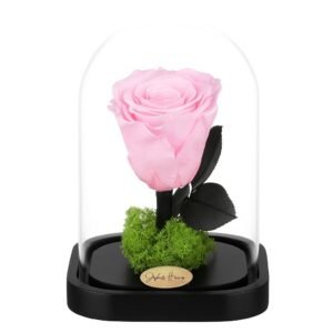 Fleur Eternal Rose Poudrée 32