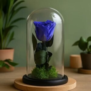 Cloche Sphère – Bleu 33