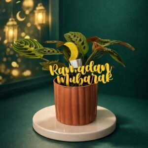 Maranta “Ramadan Mubarak” – Édition Spéciale 7