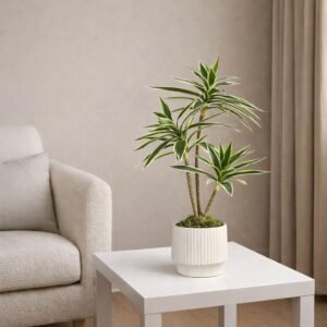 Dracena en pot blanc Artificielle 60CM 36