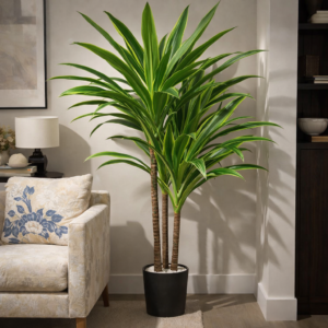 Dracaena massangeana artificiel 180 cm 38