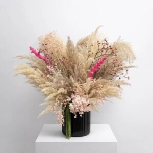 Élégance Poudrée 24