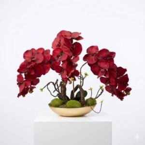 L'Éclat Impérial – Orchidée Pourpre Royale 36