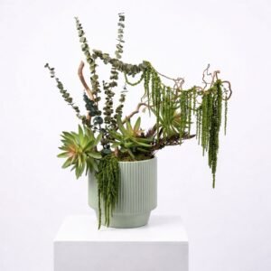 Harmonie Céleste 35