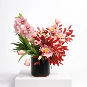 Harmonie Impériale 35