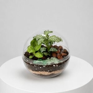 Jardin Cristal L 34