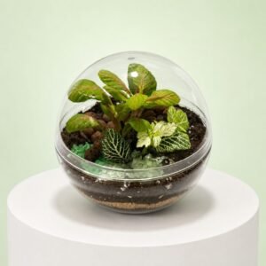 Perle Botanique 35