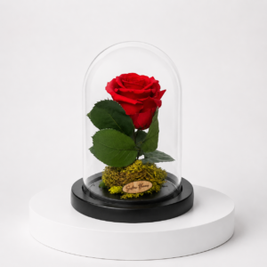 Cloche Eternelle rouge 17/11.5 39