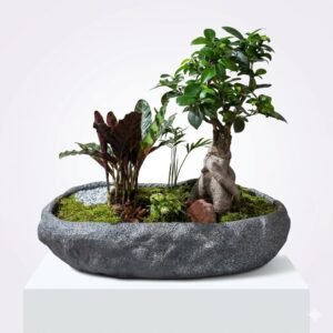 Jardin Japanese 39