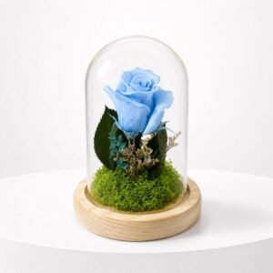 Cloche Eternelle Radieuse Blue 13/9 41