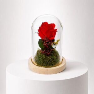 Cloche Eternelle Radieuse Rouge 13/9 39