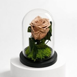 Cloche Eternelle Vintage Nude 17/11.5 43