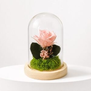 Cloche Eternelle Radieuse Rose Pale 13/9 42
