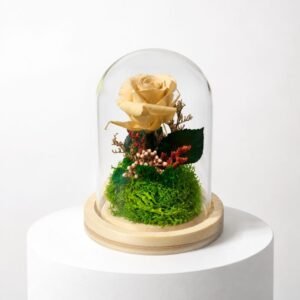 Cloche Eternelle Radieuse Ivoire 13/9 40