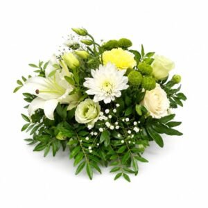 Simple Compo Vert & Blanche 40