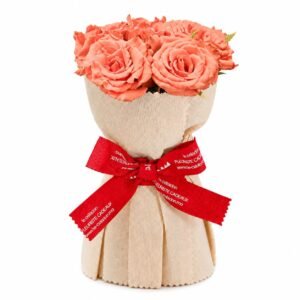 Roses Saumon 38