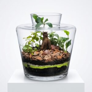 Canopée Sous Verre 13
