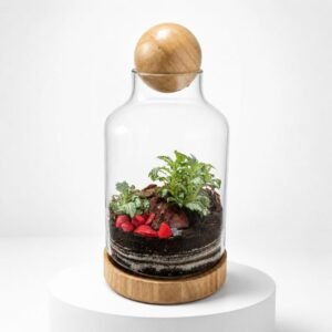 Terrarium en verre avec plantes et base en bois 33